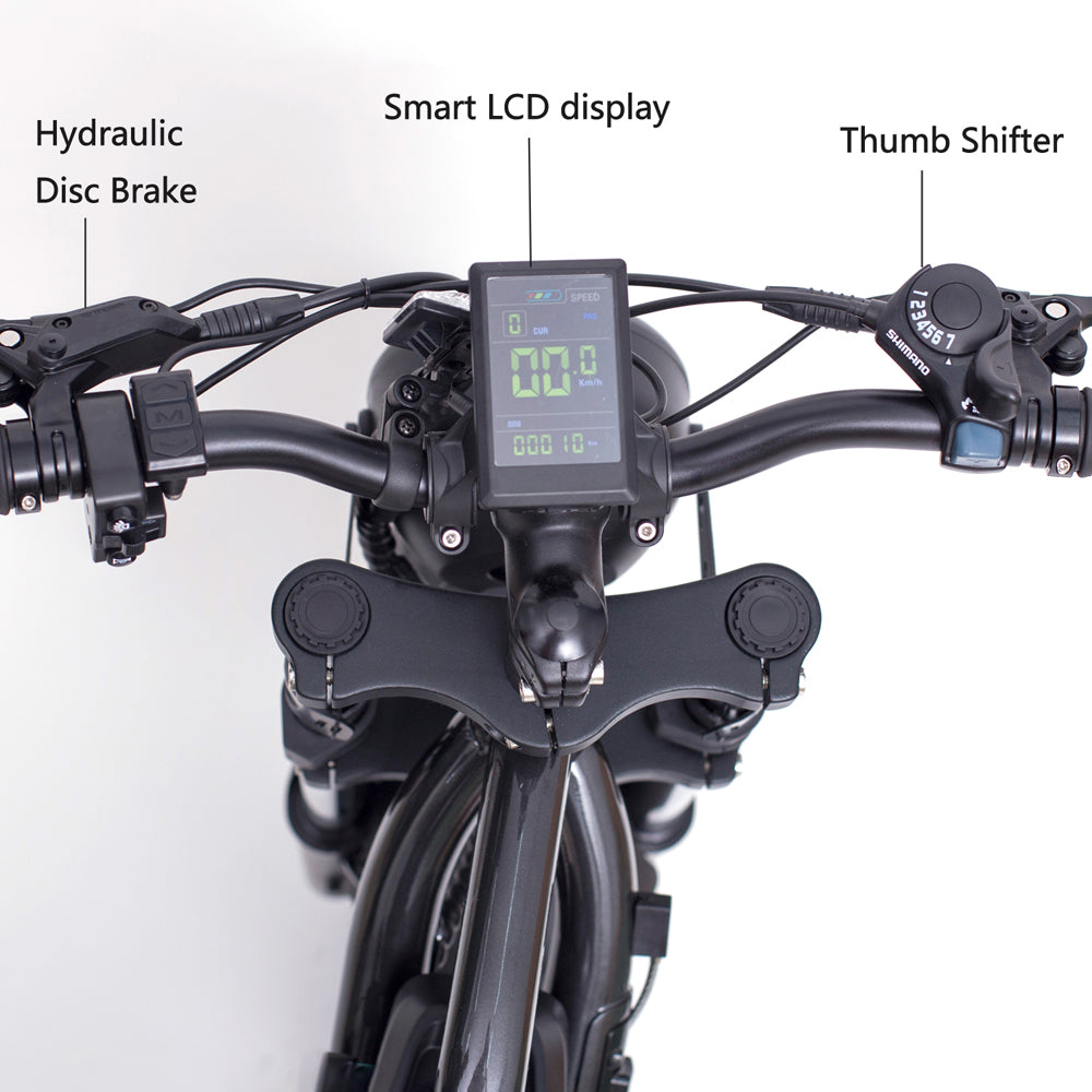48В 22.5Ач Большая Емкость Электрический Животный Велосипед 20x4.0 Колесо снежный велосипед с передним и задним скобом, оба диск Тормозный велосипед