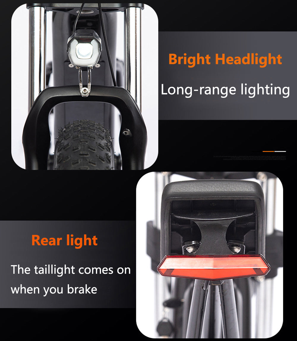 48В 22.5Ач Большая Емкость Электрический Животный Велосипед 20x4.0 Колесо снежный велосипед с передним и задним скобом, оба диск Тормозный велосипед