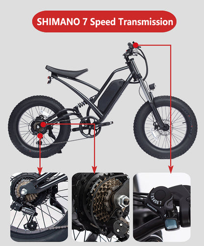 WF225 48V 22.5Ah Large Capacity Electric Fat Tire Bike 20x4.0 Wheel Snow Bike With Front And Rear Shock Absorption, Both Disc Brake E Bike